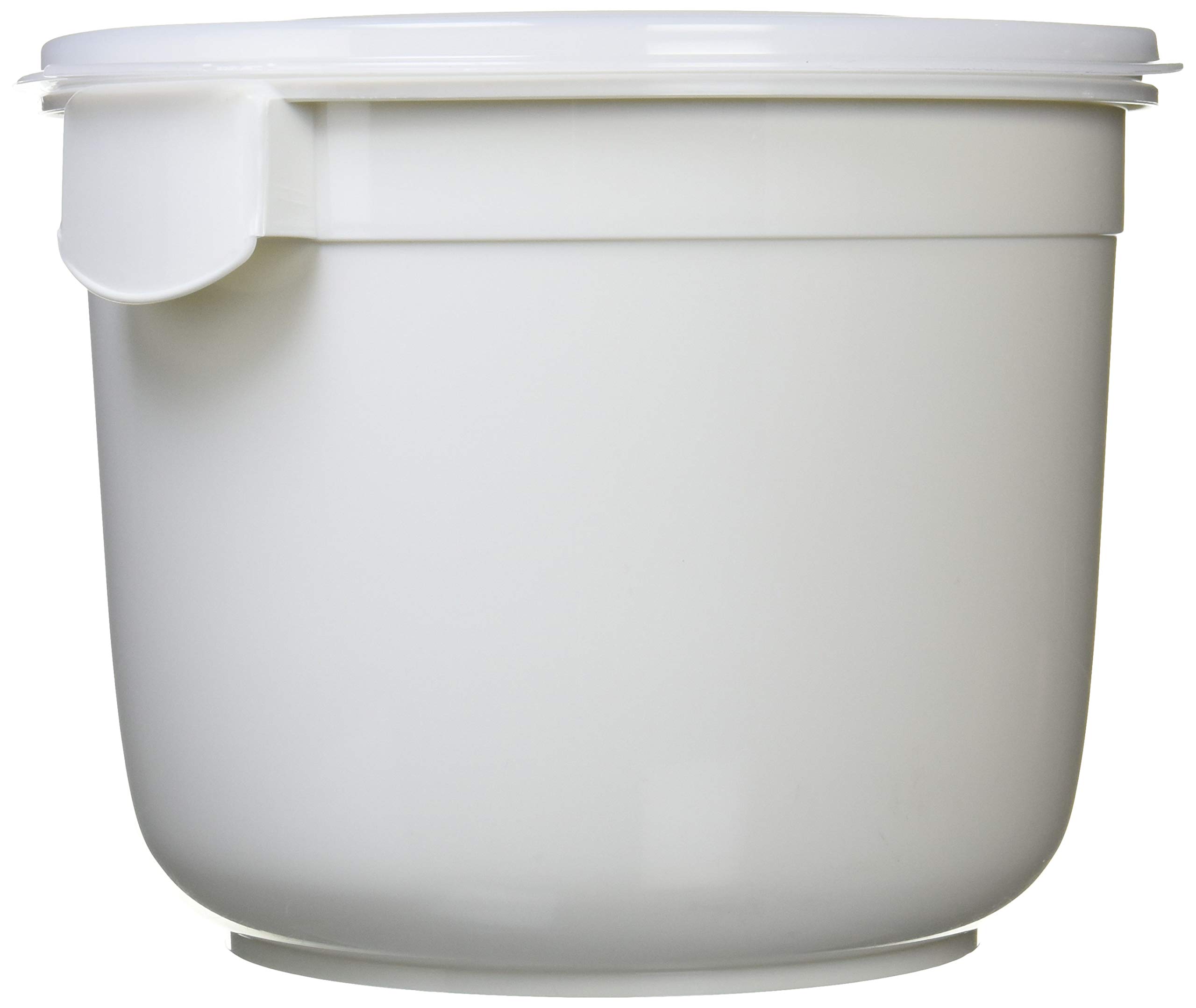 Shinkigosei Tonbo Pickle Storage Container, 6L