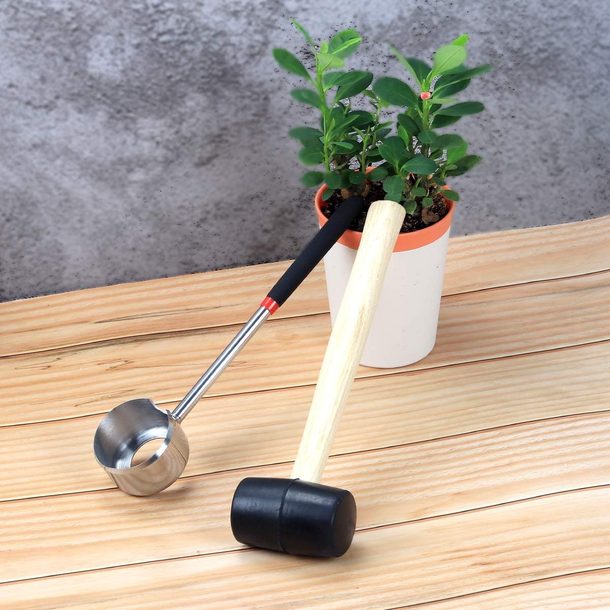 Stainless Steel Coconut Opener Set with Rubber Mallet for Young Coconut
