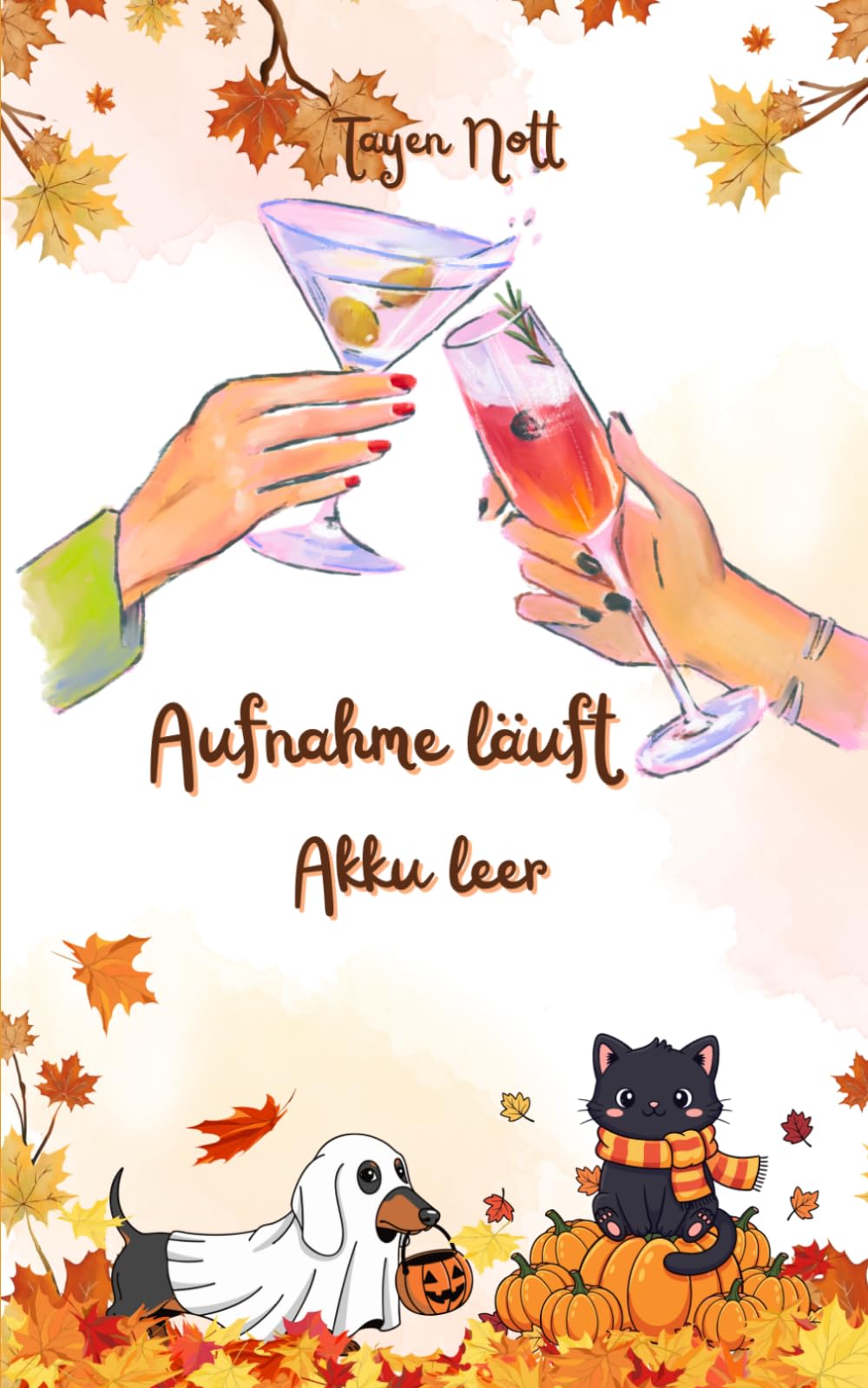Aufnahme läuft - Akku leer (Feelgood-Romane für alle, die lieber lachen als grübeln)
