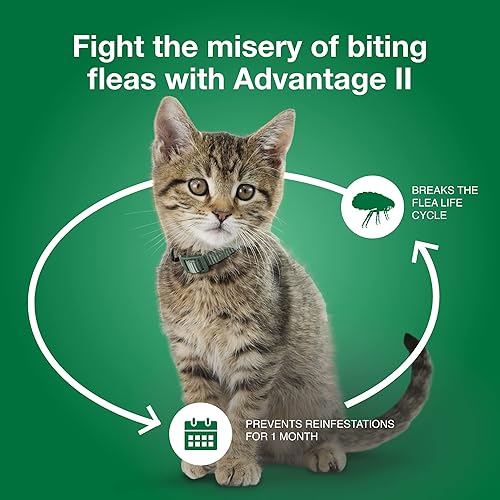 Vista 5 de Advantage II - Tratamiento y prevención de pulgas recomendado por veterinarios para gatos pequeños, gatos de 5 a 9 libras, suministro para 3 meses