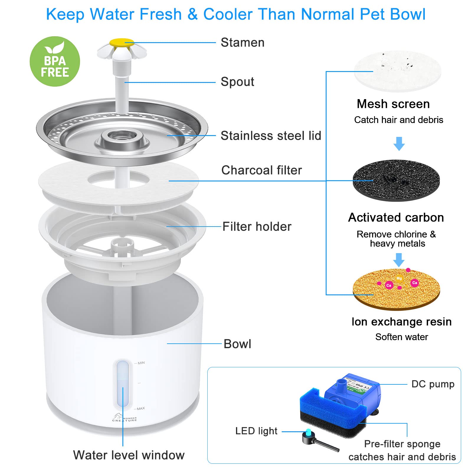 How to Set Up Water Fountain for Cats A StepbyStep Guide