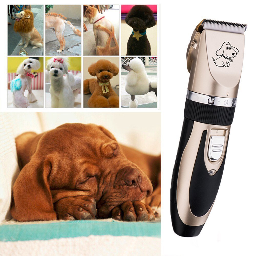 BaoRun Tondeuse professionnelle en céramique pour animaux de compagnie avec accessoires Rechargeable Tondeuse pour poils d'animaux domestiques Tondeuse électrique pour chiens, chats Or