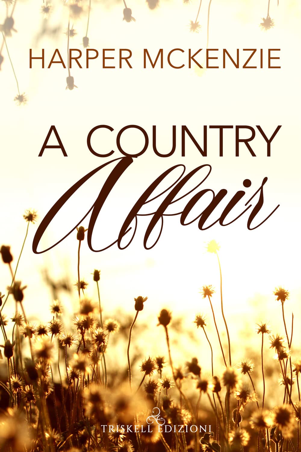 A Country Affair. Ediz. Italiana - 4
