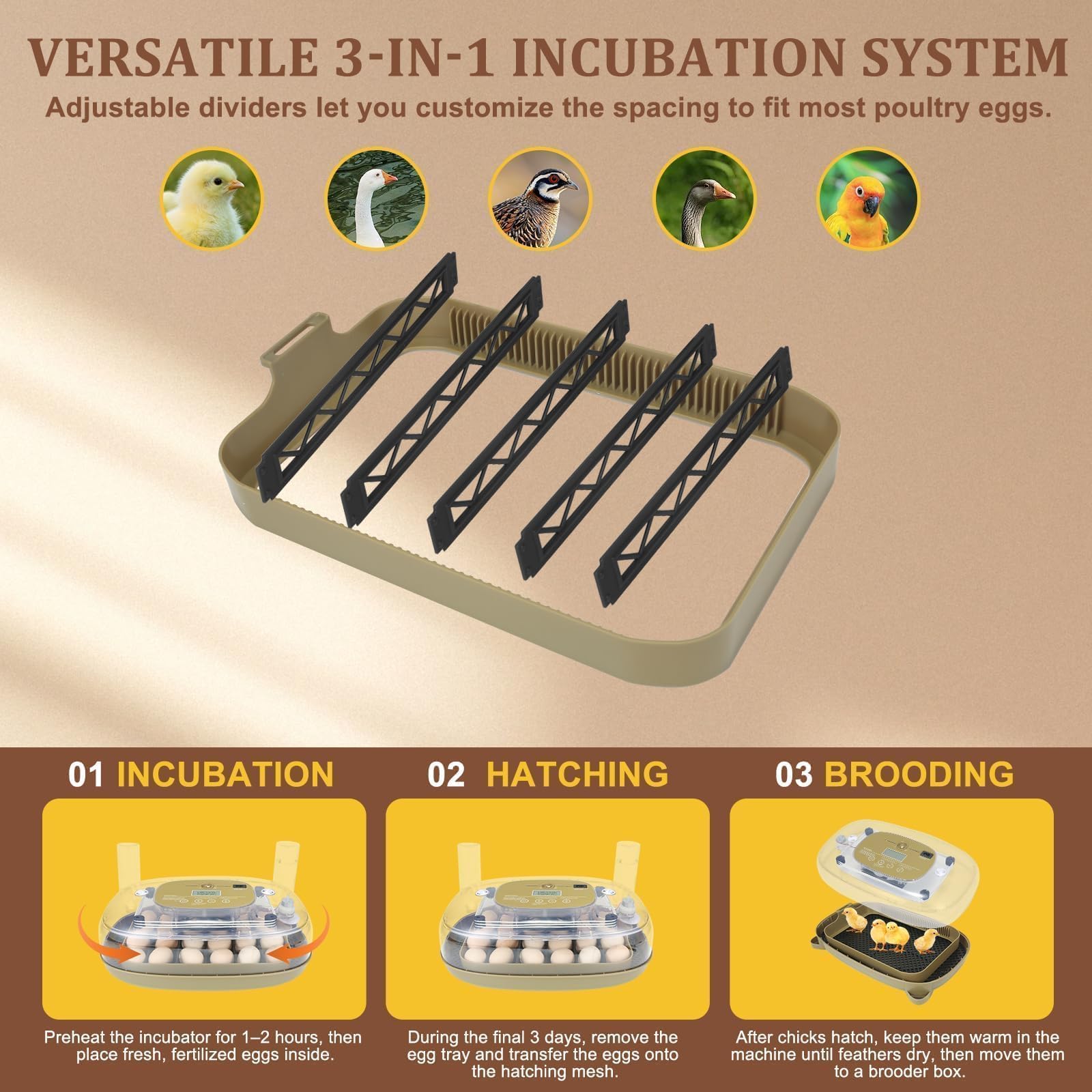 Incubadora de 24 huevos para incubar con girador automático, control inteligente de temperatura y humedad, visualización de 360°, vela de huevo, recarga de agua automática, ideal para pollo, pato