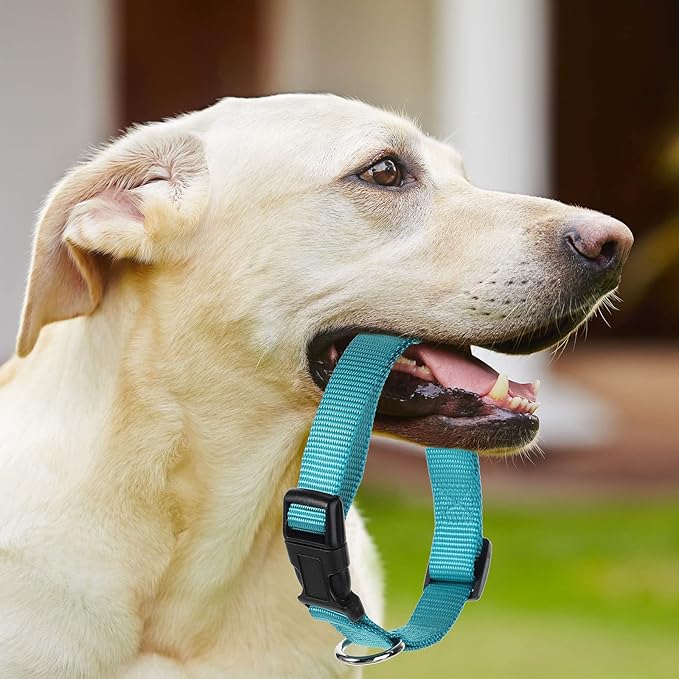 Collar Ajustable para Perro de Nylon con Hebilla de Liberación Rápida miniatura 5