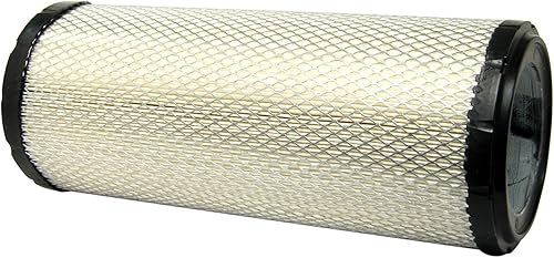 ACDelco GM Original Equipment A3097C (22909882) Filtro de aire