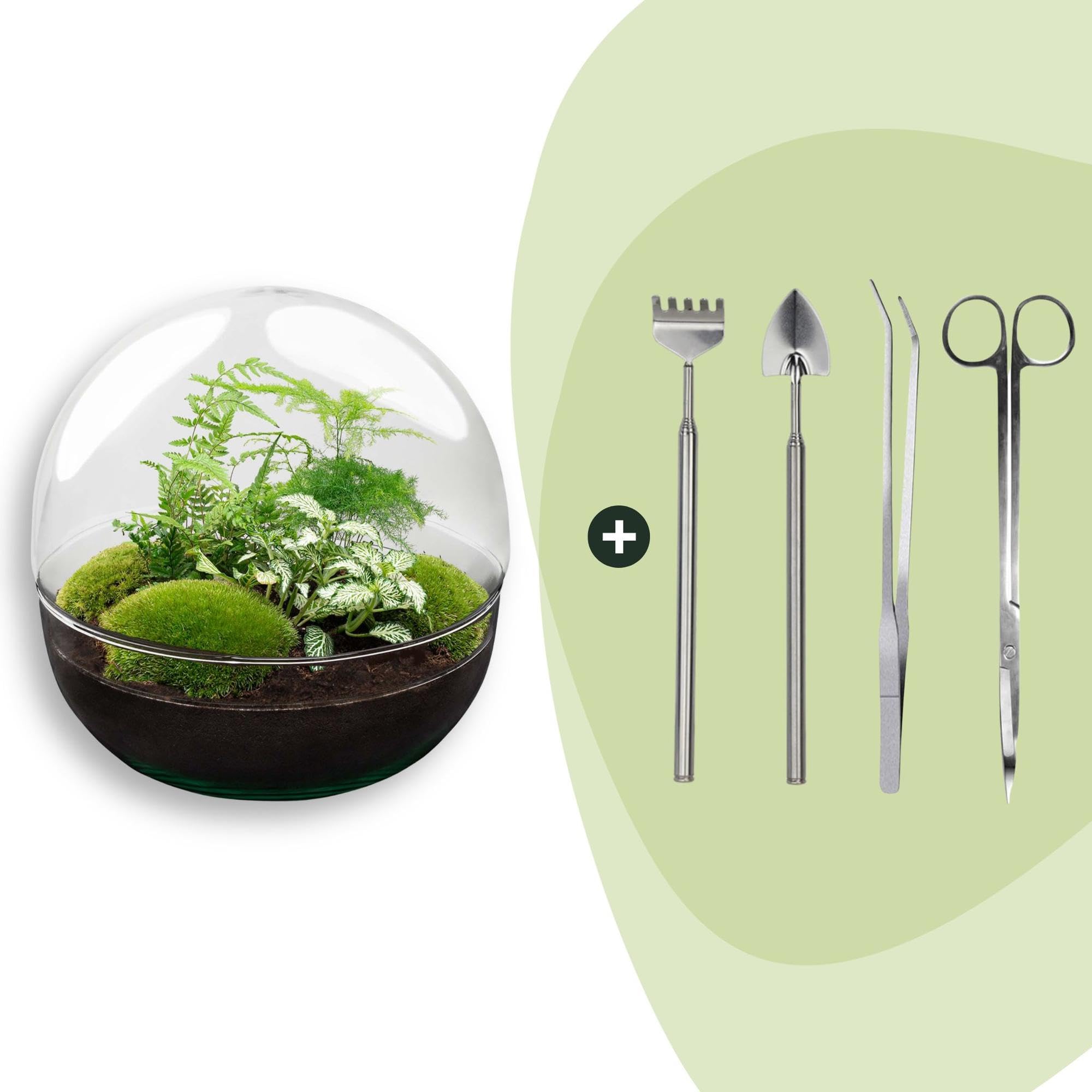 Zestaw do samodzielnego wykonania szklany terrarium, do wnętrz, przezroczysty, Dome XL Ø 28 cm