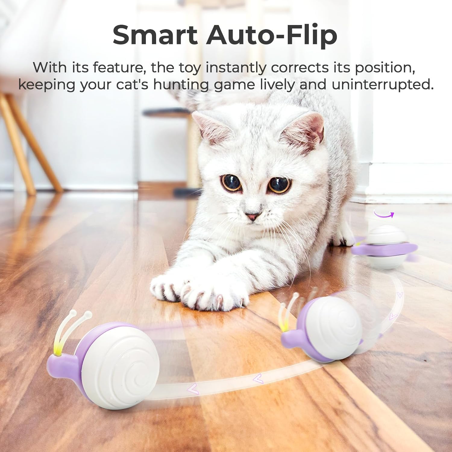 Cheerble M1 Interactieve Kattenbal - Kattenspeelgoed - Grijs - Bengaalse kat - Pets Place