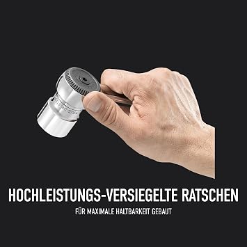 Facom Steckschlüsselsatz metrisch 1/4 (6.3 mm) 1/2 (12.5 mm) 21teilig RS.440E
