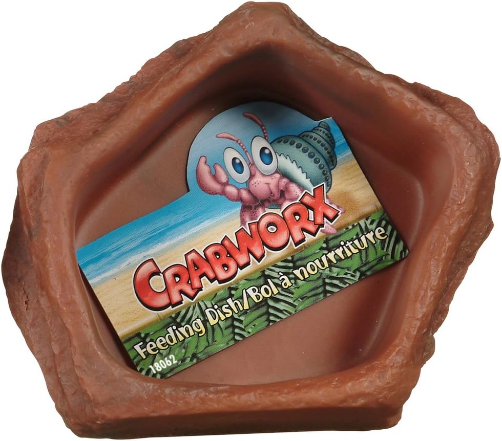 18062 Feeding Dish, 12 x 10 x 2.7 cm (4.7 x 4 x 1 in)