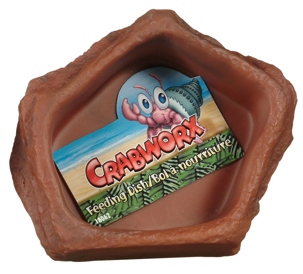 18062 Feeding Dish, 12 x 10 x 2.7 cm (4.7 x 4 x 1 in)