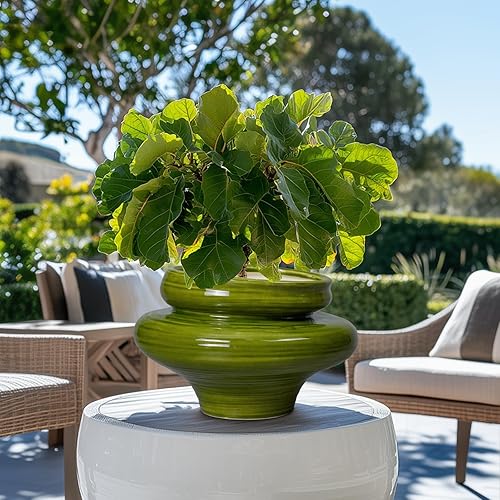 Miniatura 7 de Macetas de cerámica para plantas de interior de 11 pulgadas, macetas de bonsái para exteriores, macetas grandes para plantas de interior, maceta