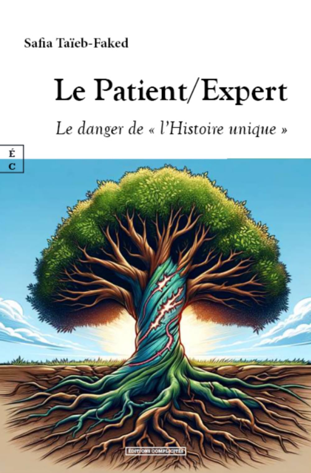 Le Patient/​Expert : Le danger de « l'Histoire unique »