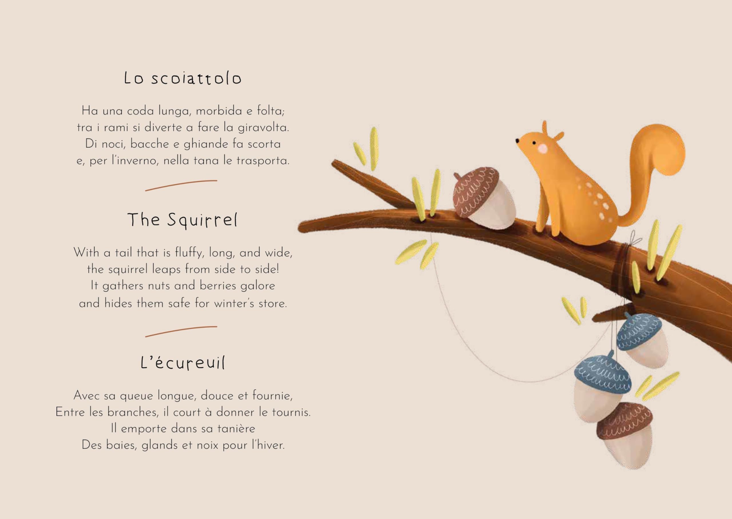 Bosco. Magnetic Box e book. Ediz. a colori. Con magneti: Magnetic Box Set