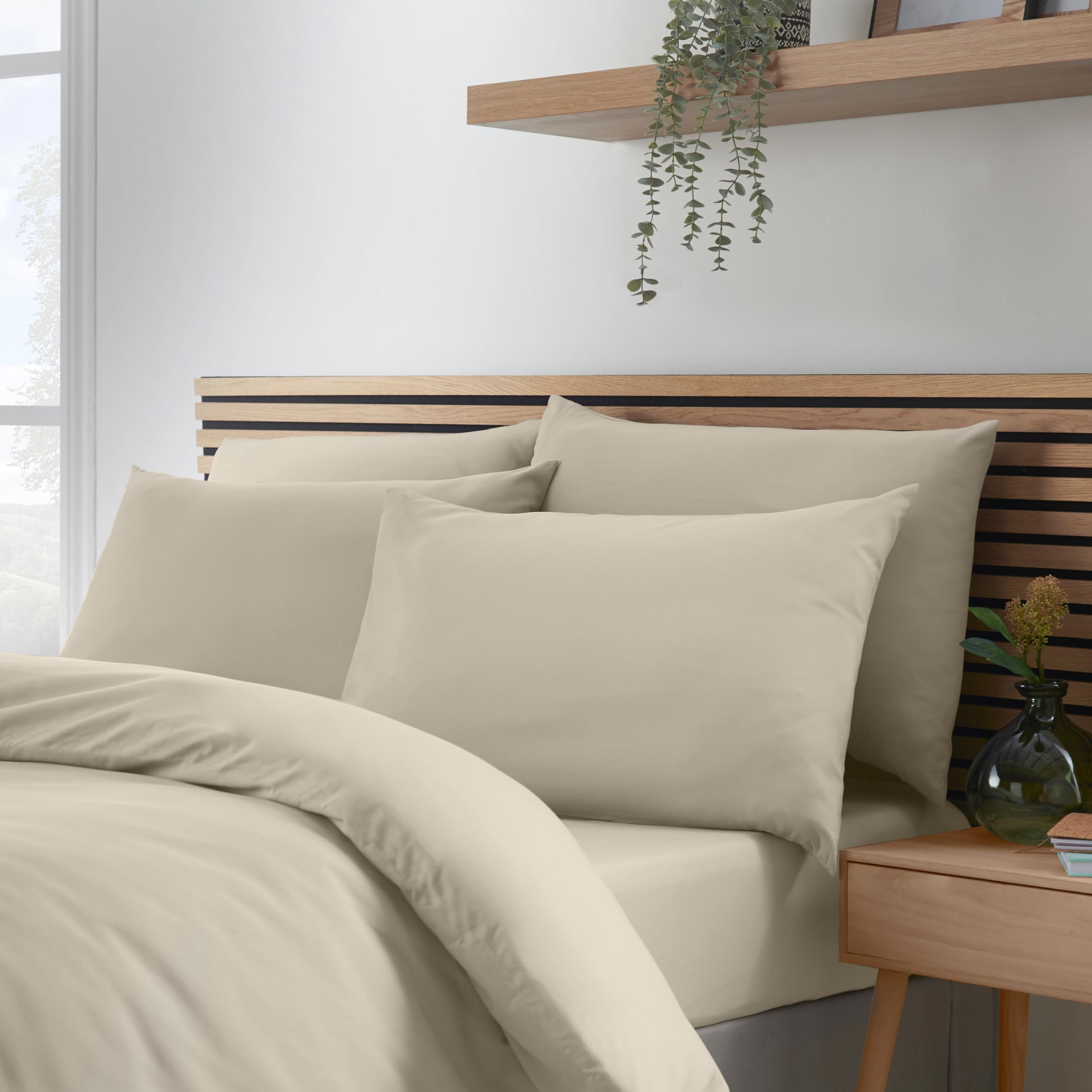 Catherine Lansfield Natural So Soft Non Iron Standard Pillowcase Pack Of 4 In