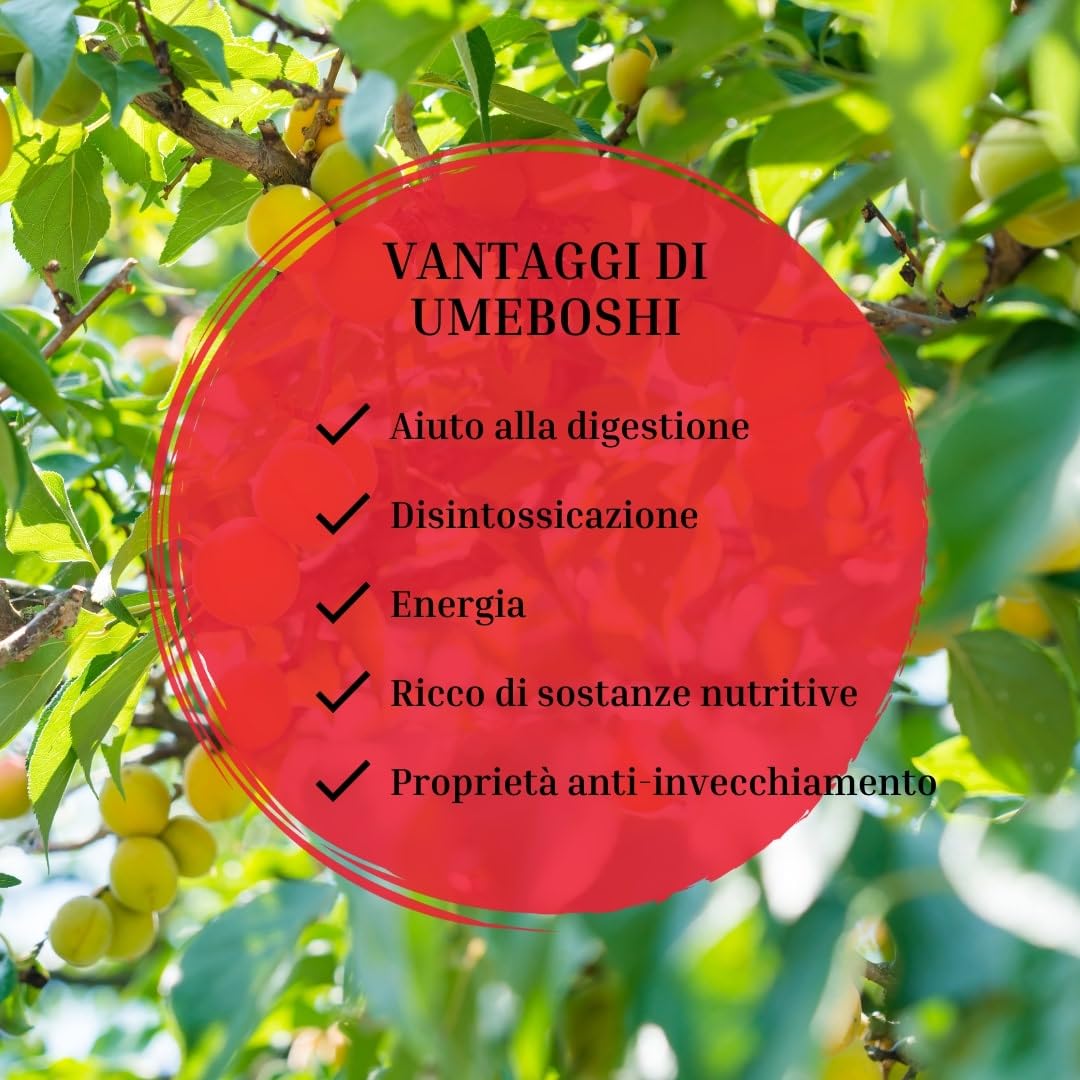 Umeboshi giapponesi in Honey - Grandi umeboshi in salamoia. Prugne Nanko Ume sottaceto Giappone, prodotte in Giappone, 14,1 oz [Elegante dolcezza, Ridotto sale 3%] (400 g (400 g x 1 confezione))