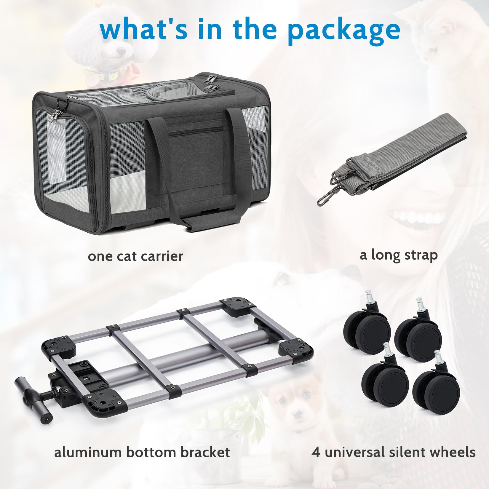 https://m.media-amazon.com/images/I/71zn2xwCPxL.jpg