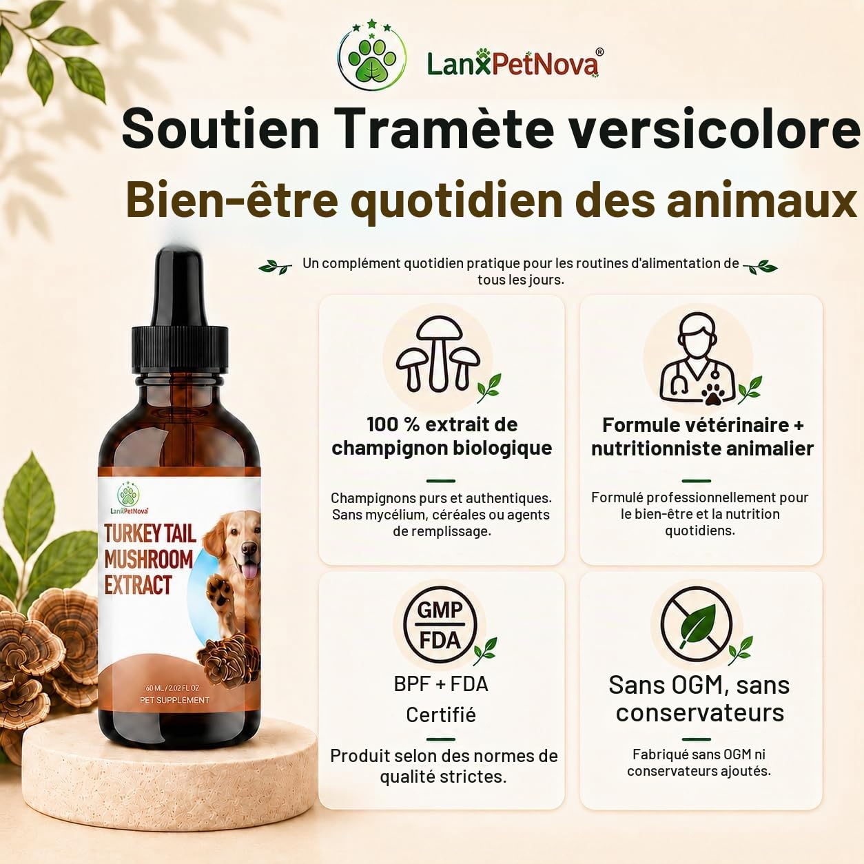 Champignons pour Chien & Chat – Soutien immunitaire, Maintien des Fonctions tissulaires. Idéal pour Seniors, Animaux en Convalescence et Animaux affaiblis. Naturel, Doux et sûr.