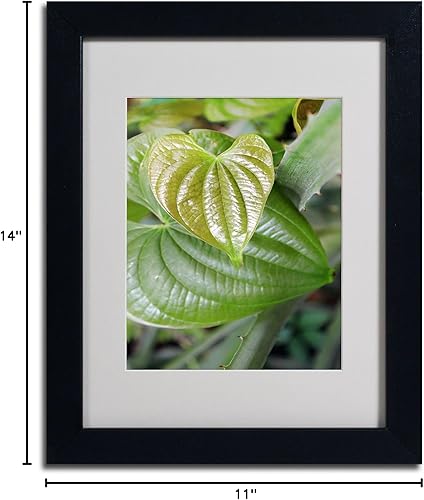 Miniatura 6 de Trademark Fine Art Patty Tuggle - Arte enmarcado de corazones naturales con marco negro, 11 x 14 pulgadas