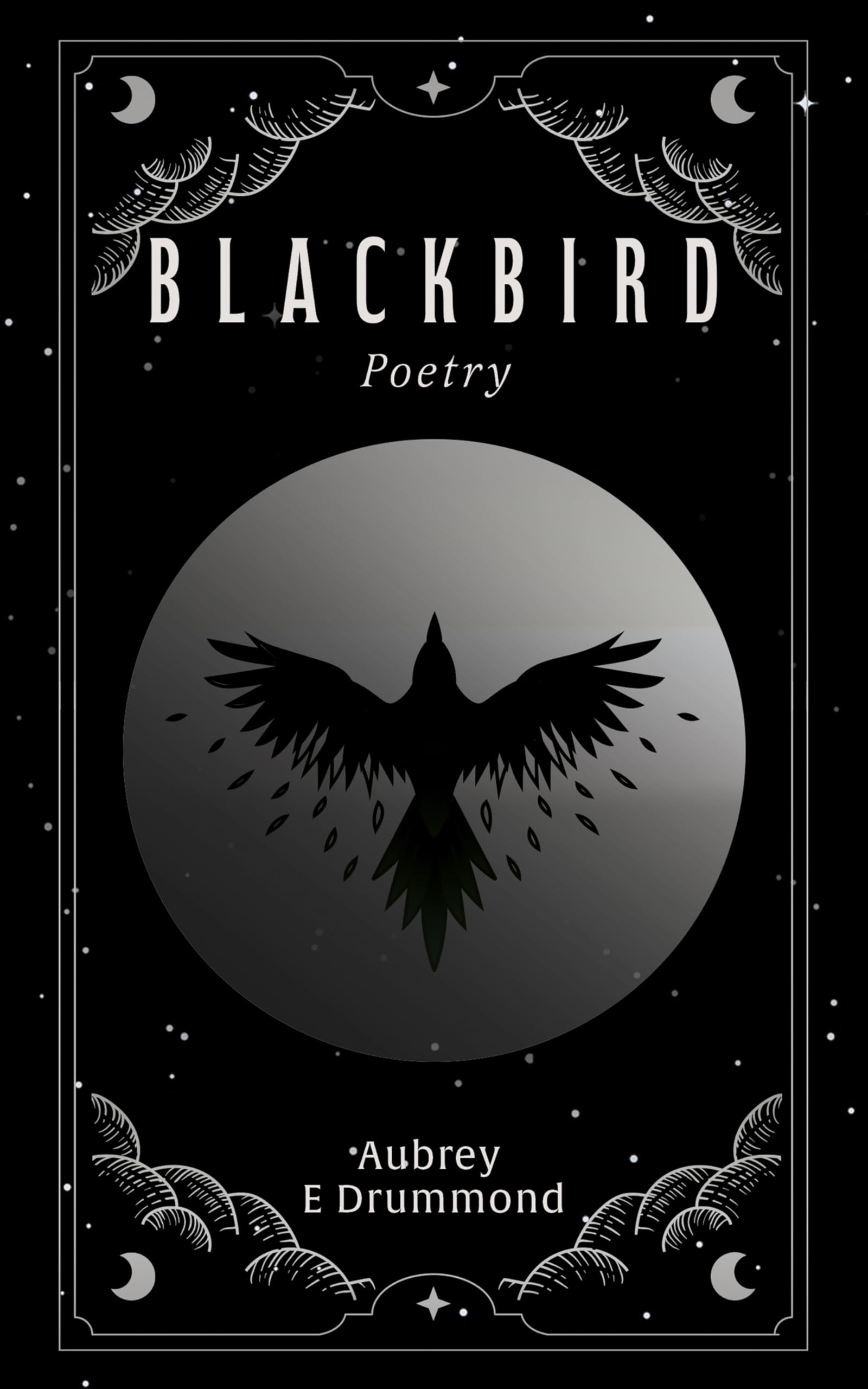 Blackbird: A Free Literary Fiction eBook