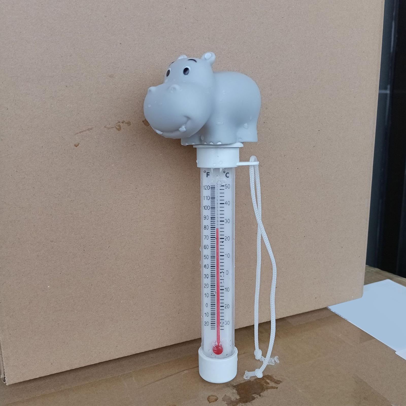 Temperatura Della Piscina Galleggiante, Termometro Per Acqua Di Cartoni Animati, Temperatura Della Vasca Da Bagno, Termoscopio Facile Da Leggere Con Corda Per Vasche Idromassaggio