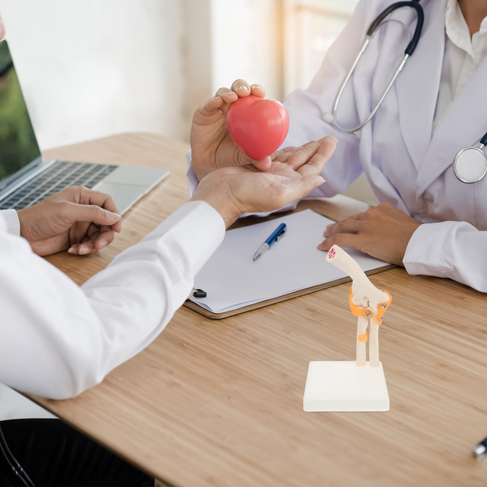 SHINEOFI Lebensgroßes Ellenbogengelenk Modell aus PVC für Anatomieunterricht und Klinische Schulung – 3D Skelettmodell mit Stativ