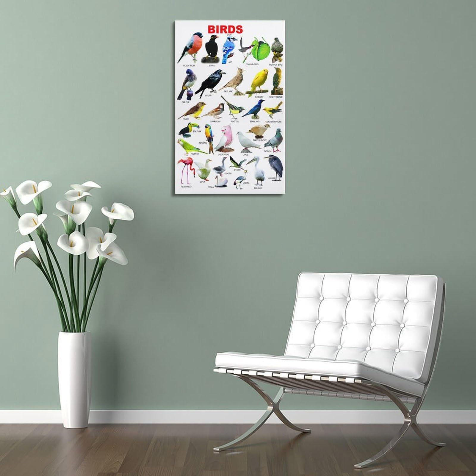 OKNGB Kinder-Zoologie-Pädagogisches Poster, Vogelführer-Poster, dekorative Malerei, Leinwand, Wandposter und Kunstdruck, moderne Familienschlafzimmer-Dekoration, Poster, 50 x 75 cm