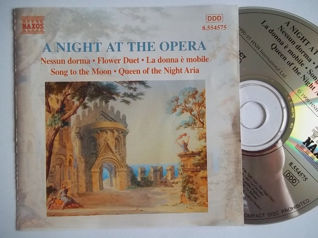 NIGHT AT THE OPERA
