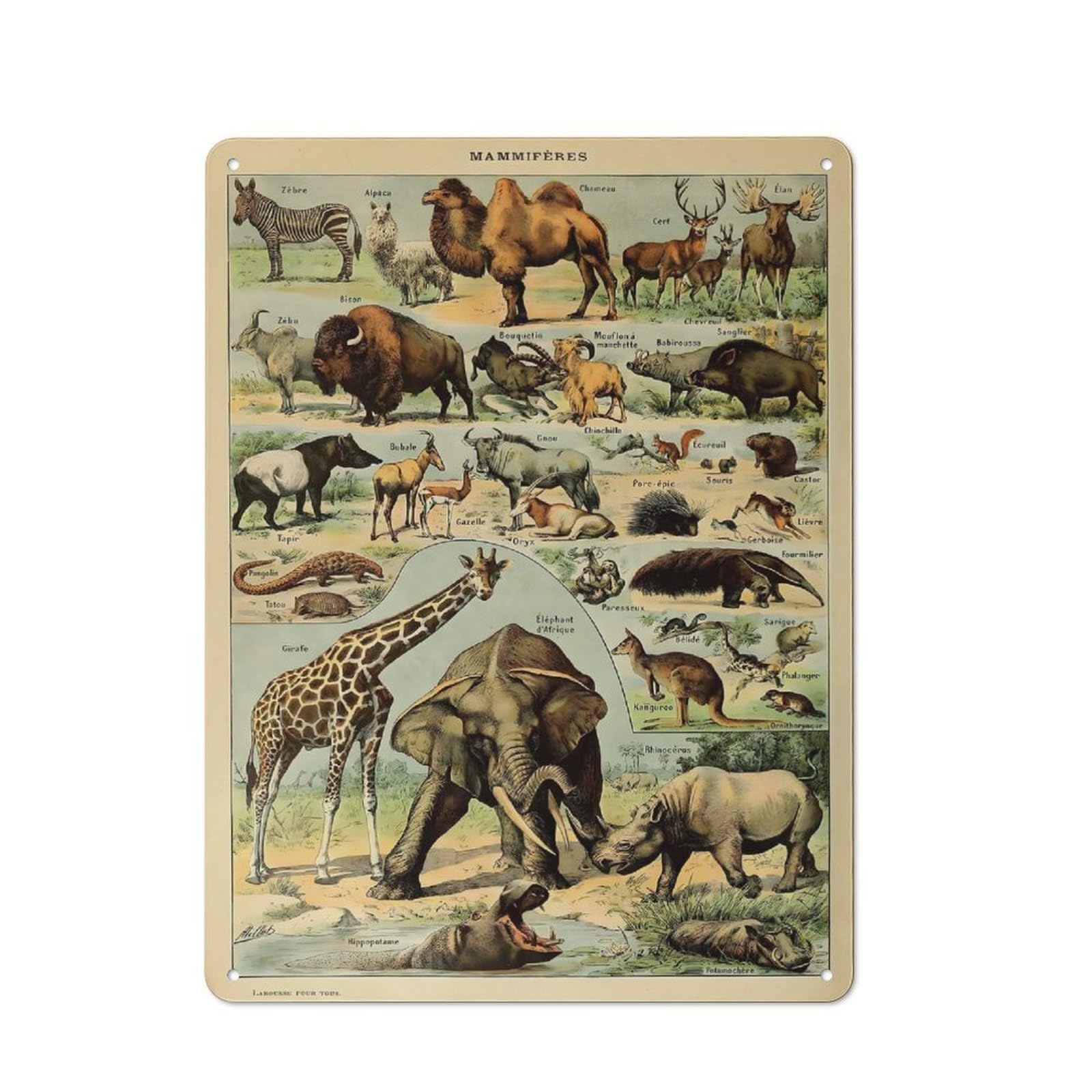 Junmoney Style-8 Metal Plaque With Adolphe Millot Mammals V1 Design 40X30cm, Rustic Cafe Wall Decor For Restaurant, Kitchen, Counter Or Breakfast Nook