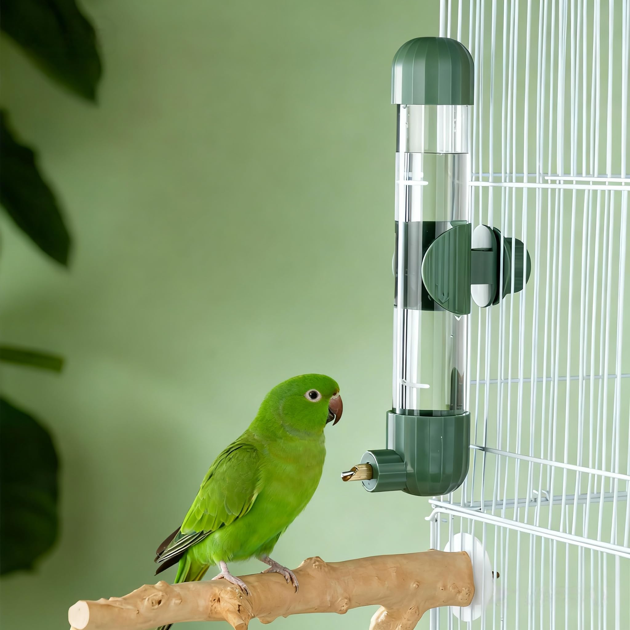 AOTU 7.4 Fl Oz Bird Water Dispenser Automatic Bird Water - feeding and watering supplies pet | Mubboo