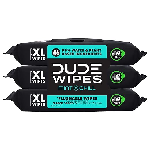 DUDE Wipes Flushable Wipes - 3 Pack, 144 Wipes - Mint Chill Wet Wipes with Vitamin-E, Aloe, Eucalyptus & Tea Tree Oils - Septic and Sewer Safe