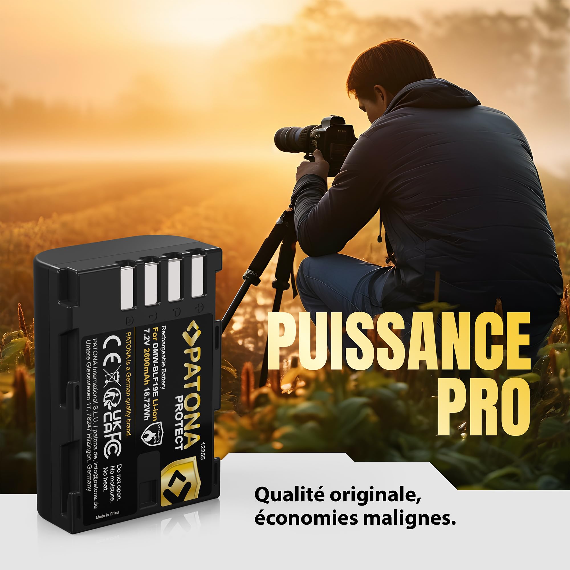 PATONA 2X Protect Batterie pour Panasonic DMW-BLF19 BLF19E, 2600mAh