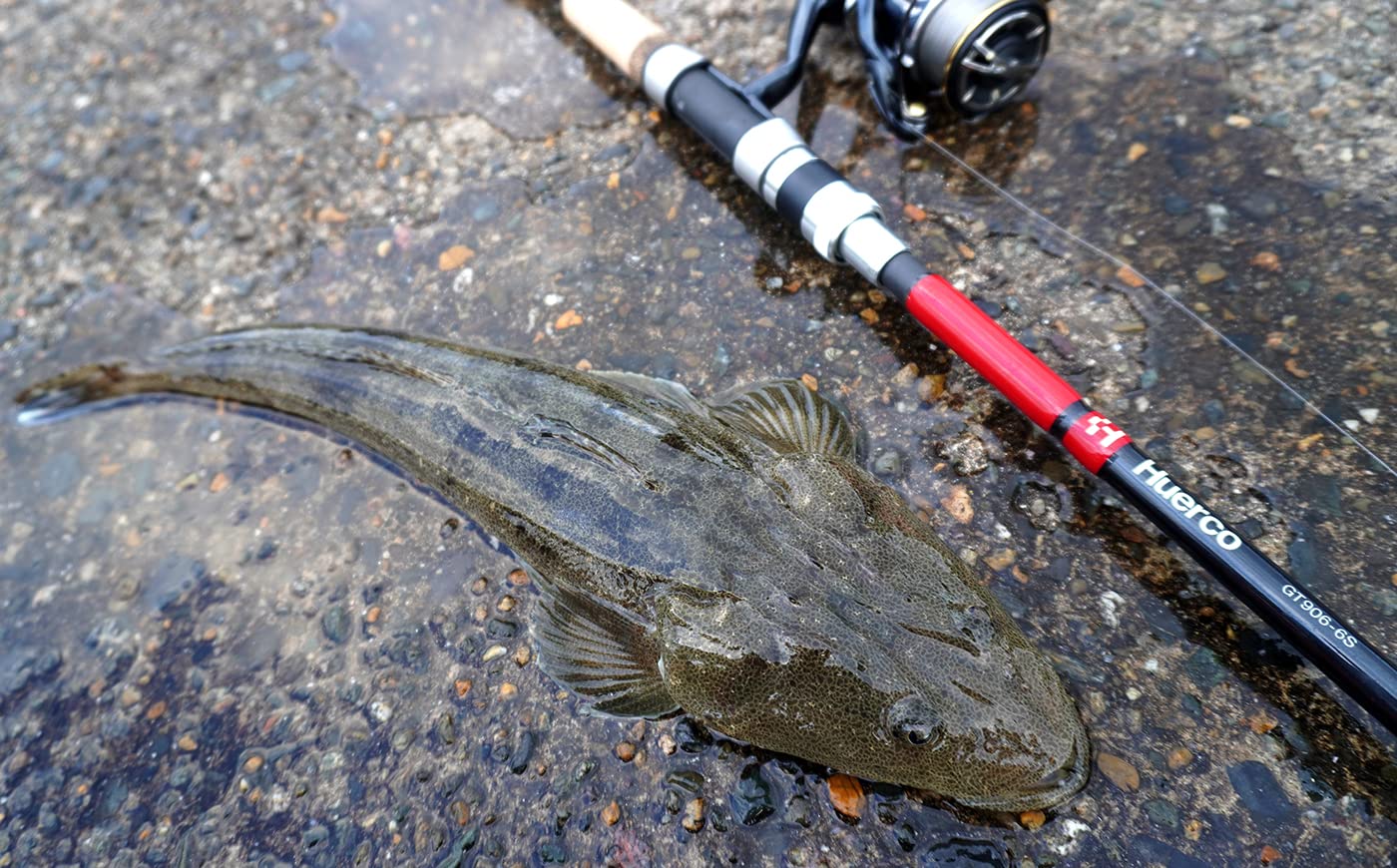 Amazon | Huerco フィッシングロッド GT906-6S / スピニングモデル