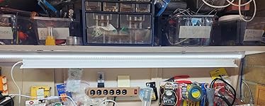 Review Image by Southwest Lady Southwest Lady