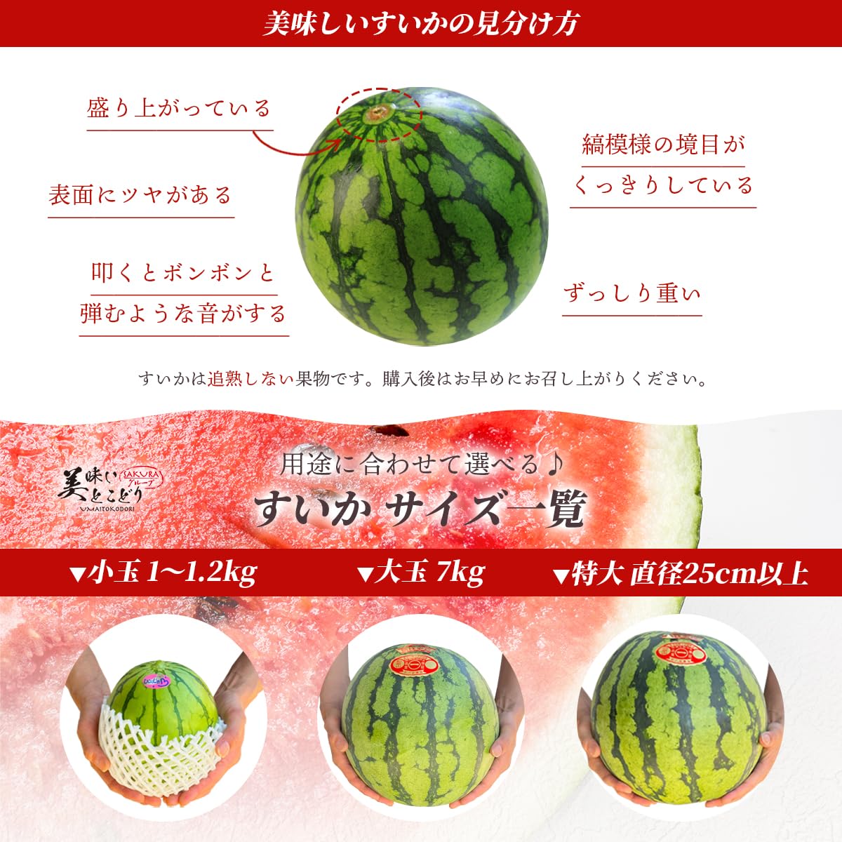 Amazon.co.jp: 小玉 すいか 完熟 高級 赤秀Sランク1玉 約1.2kg~1.8kg 