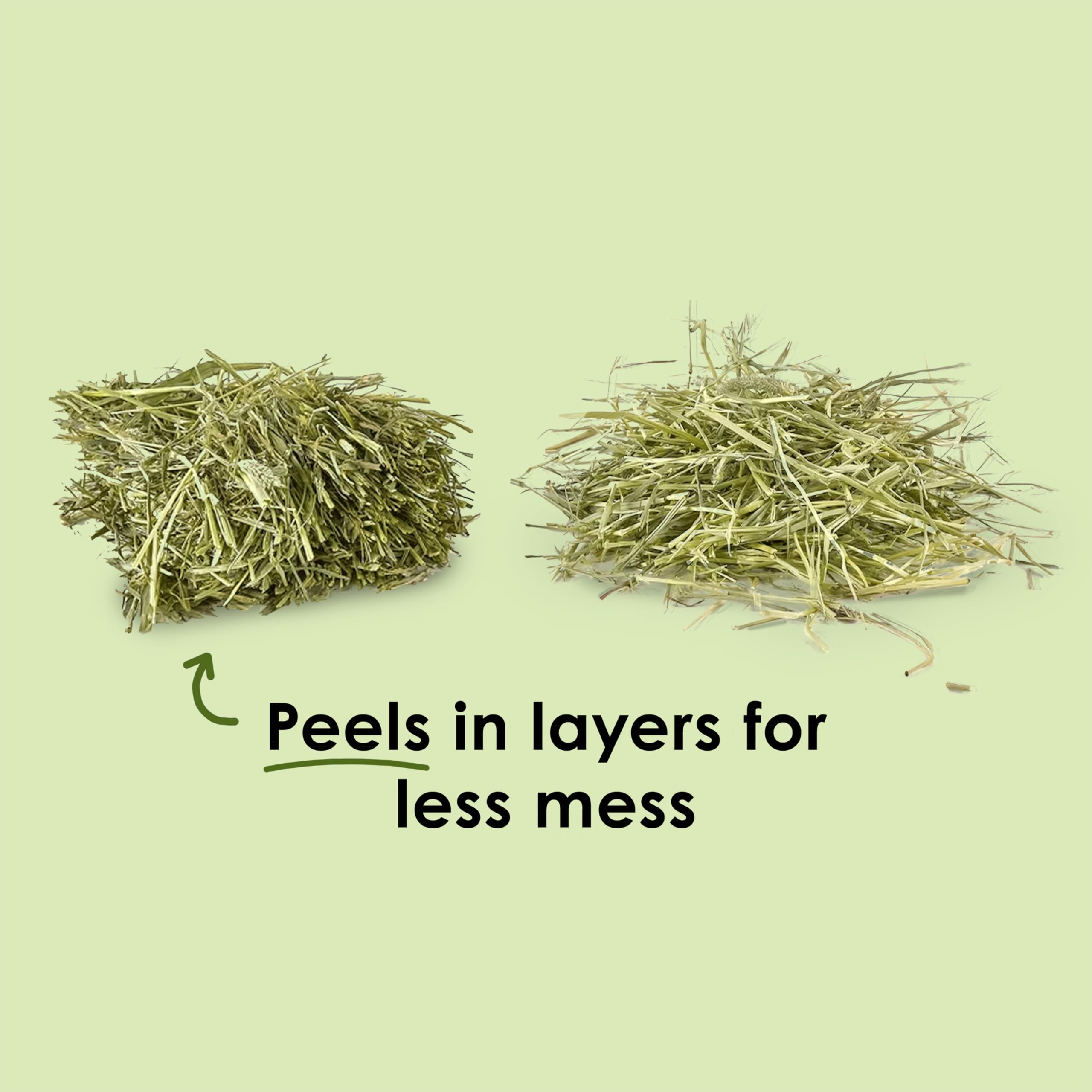 Kaytee Wafer Cut All Natural Timothy Hay for Pet Guinea Pigs, Rabbits & Other Small Animals, 11.25 Pounds - image 5