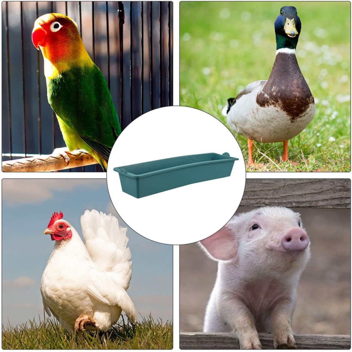 POPETPOP 6pcs Plastic Chicken Feeder Troughs Easy to Clean Fodder Pots for Poultry Livestock Efficient Management for Chickens and More