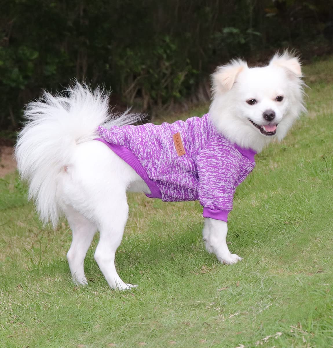 Small Dog Jumper Small Dog Sweatshirt Chihuahua Jumper Fleece Inside Soft Cozy, Colour Vibrant Easy to Take On and Off (Purple, S) — view 4