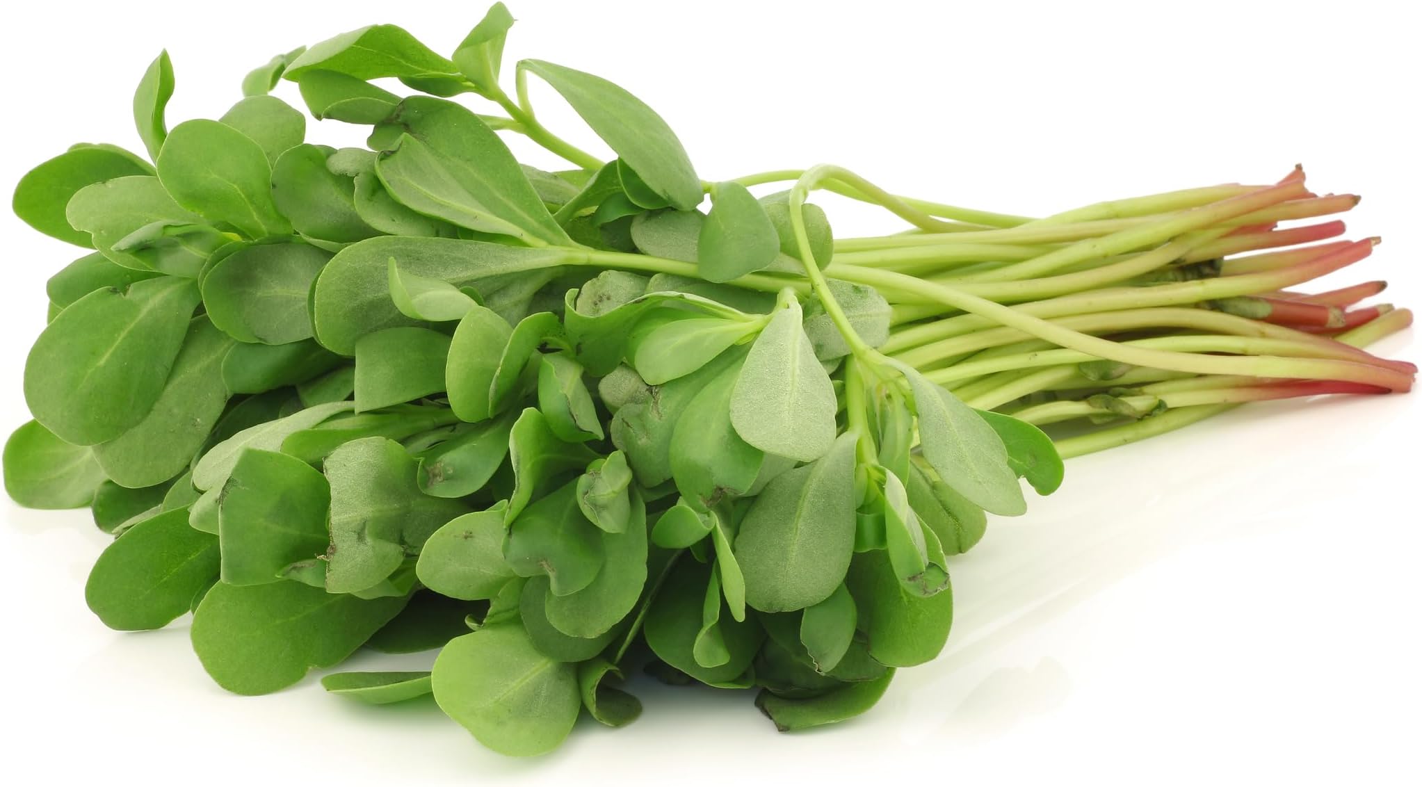 JustSeed - Salad - Purslane - Green - 10 Seed