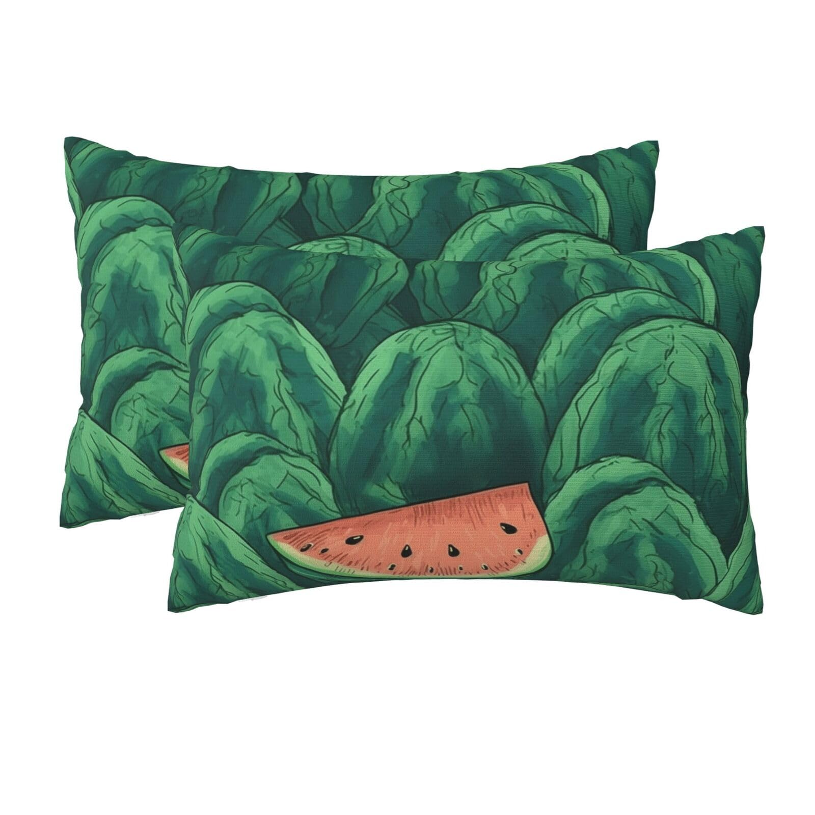 2 Pack Queen Size Pillow Cases for Hair and Skin Soft Breathable Pillow Case Covers with Hidden Zipper Green Watermelon Pattern Pillowcase 20x30 Inches Pillow Cover for Sleeping Gift