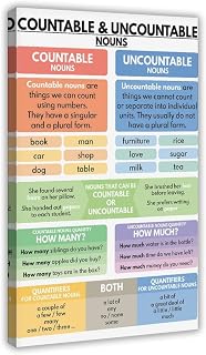 Countable And Uncountable Nouns, Grammar Explanation, And Part of Speech Education Poster Frame 16x24inch