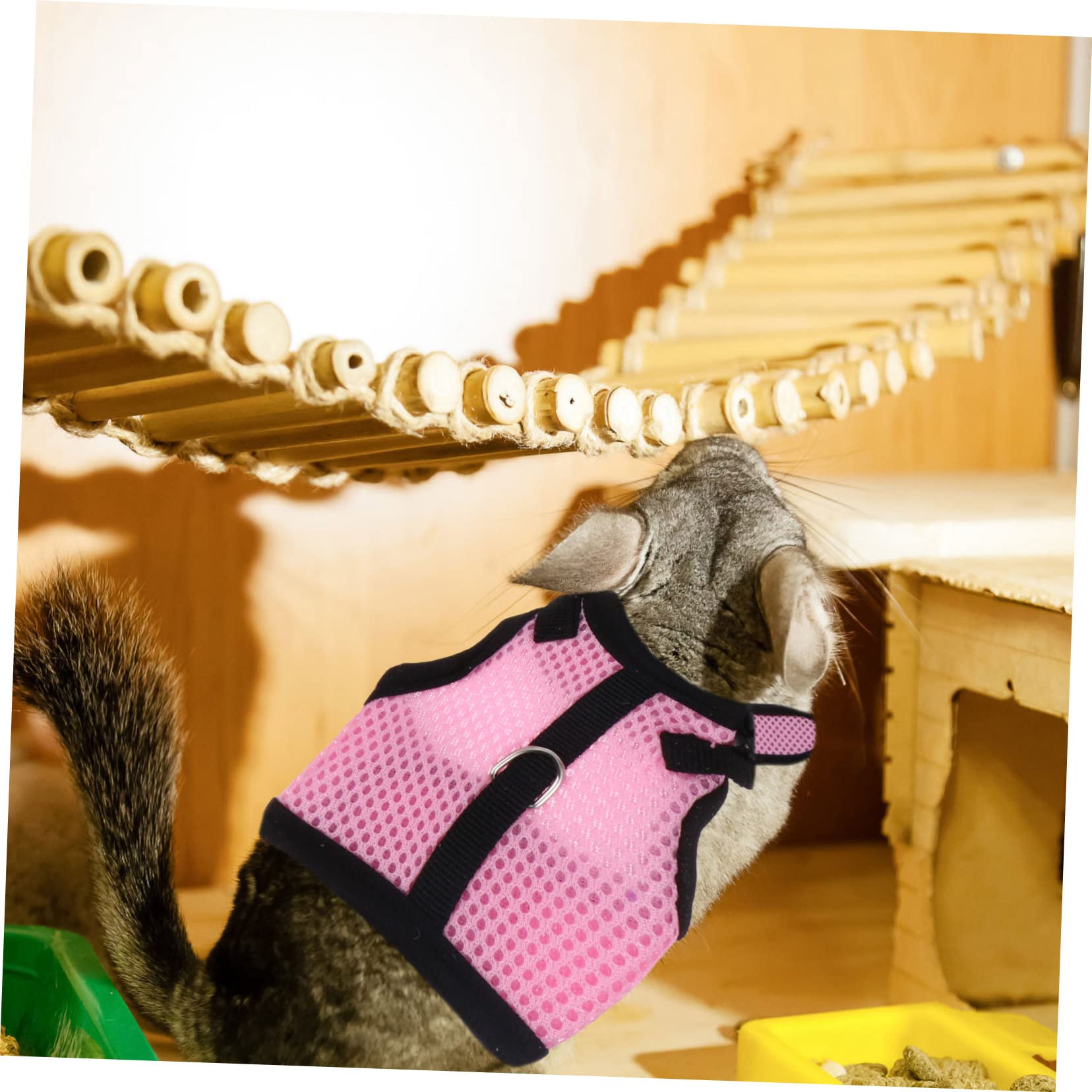 BESPORTBLE 12stücke Hamster Und Kaninchen-Weste Mit Leine Atmungsaktive Outdoor-geschirre Für Kleine Haustiere Für Und Fotos Leicht Und Komfortabel