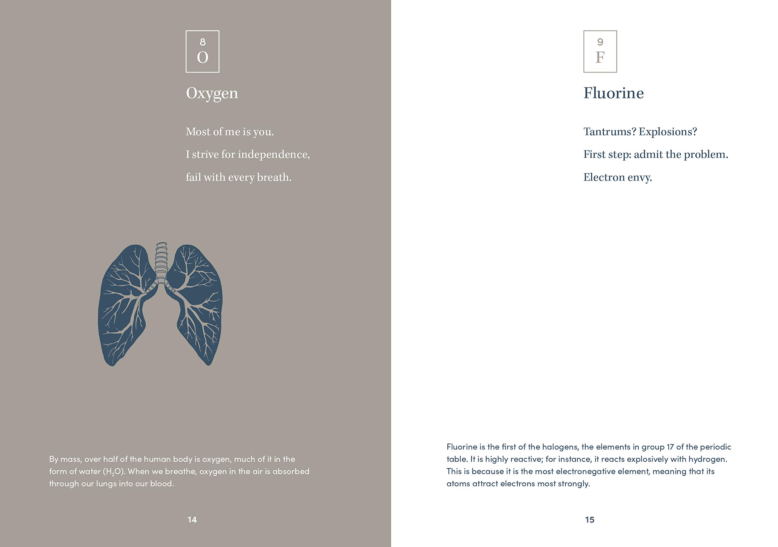 Elemental Haiku: Poems to honor the periodic table, three lines at a time - Image 4