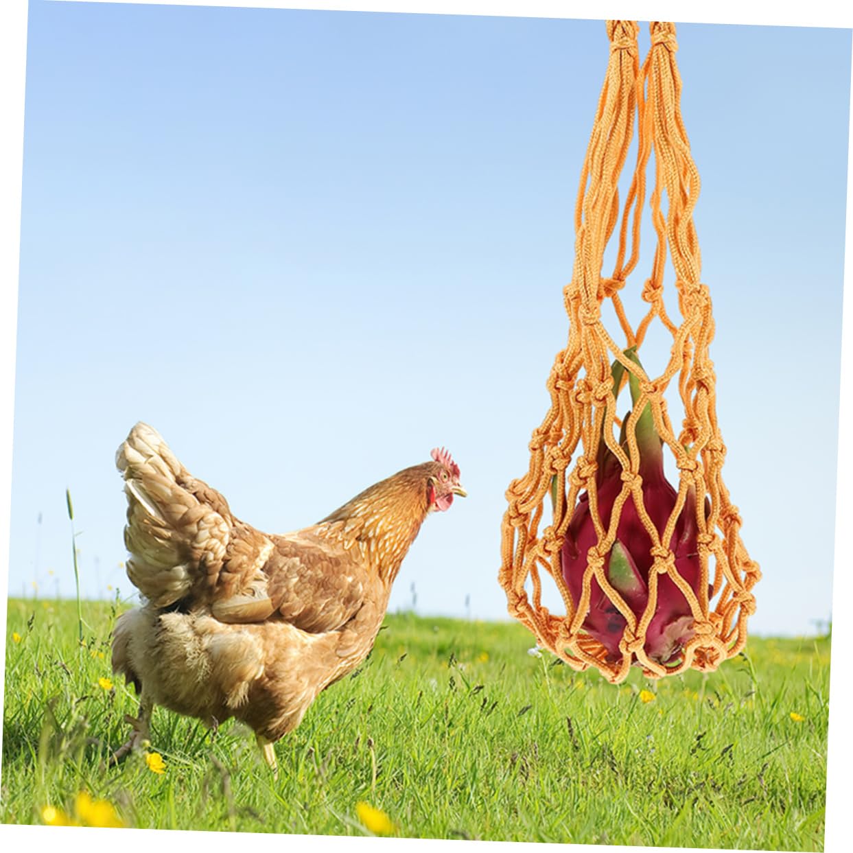 SUPVOX 3 Set Borsa A Tracolla Per Pollo Spiumatore Mangiatoie Per Uccelli Appese Kit Alimentatori Mangiatoia Per Polli Sospesa Pulcino Mangiatoia Per Polli Per Polli Nylon 2 Pezzi * 3