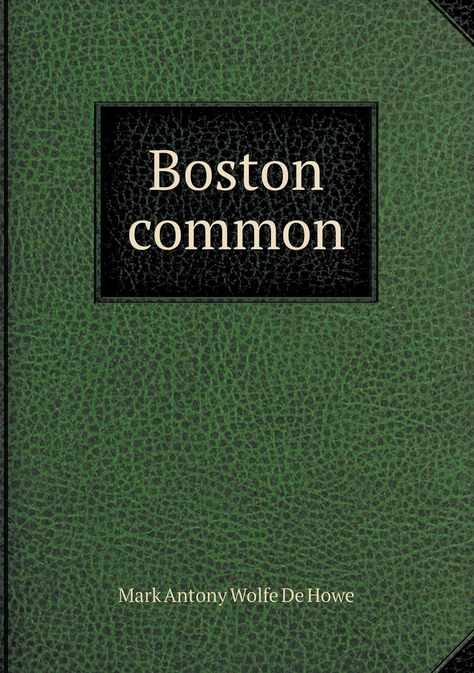 Boston common