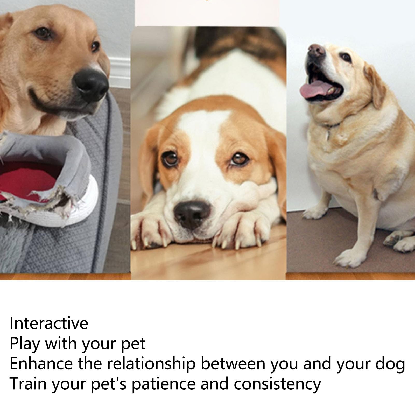 Pssopp Boule Automatique de Chien, 3 Modes de Distance 2200mAh La Batterie Rechargeable Comprend 3 Mini Balles de Tennis Jouet de Chien Interactif pour l'entraînement Utilisation Extérieure