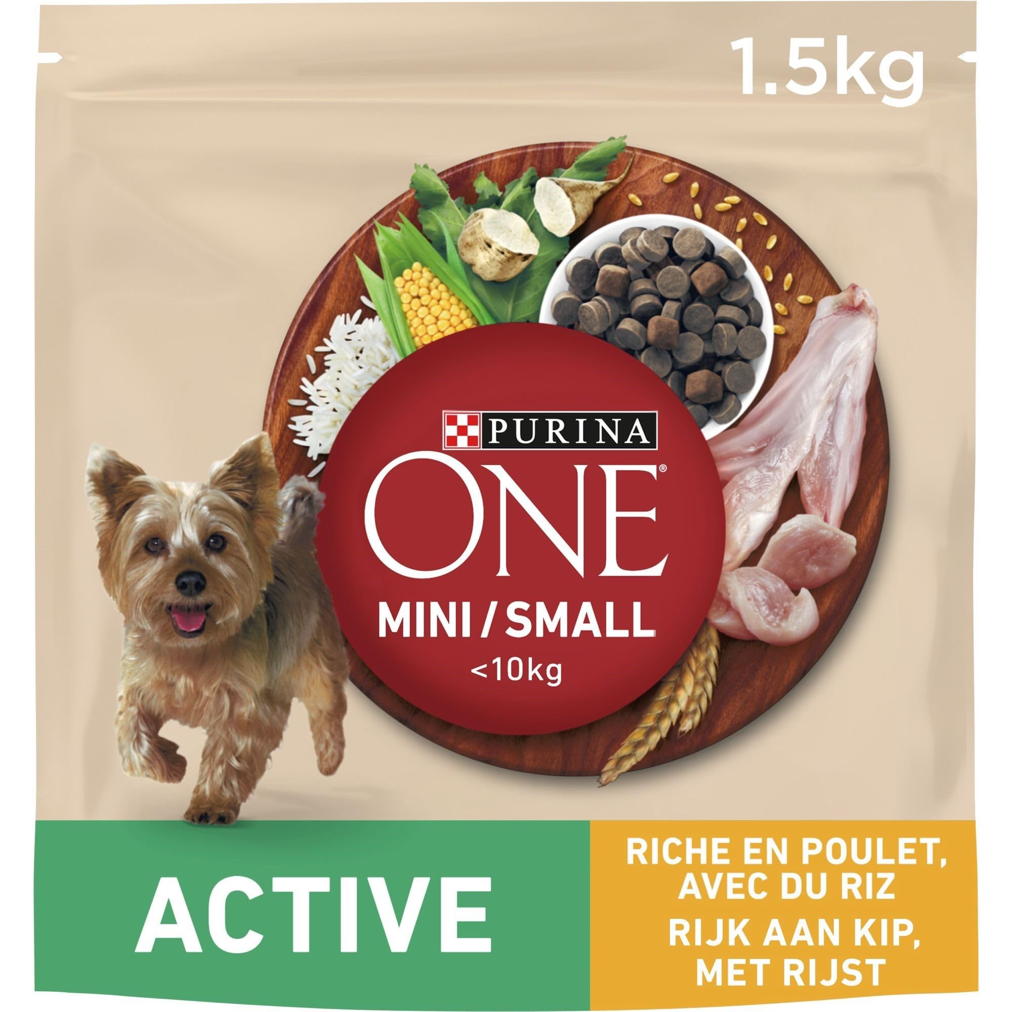 PURINA ONE | MINI | ACTIVE | Croquettes pour Chien Adulte Actif de petite taille, <10 Kg | Protéines de haute qualité pour aider à soutenir des muscles forts | Au Poulet | Sac | Lot de 6 x 1,5 Kg