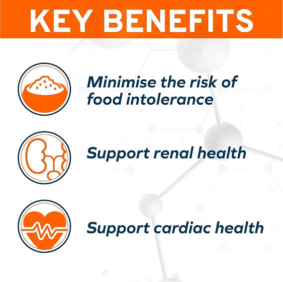 Forza10 - Renal Wet Dog Food for Kidney Support, 3.5 oz, 12-Pack