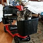 Review Image by Rae Larson