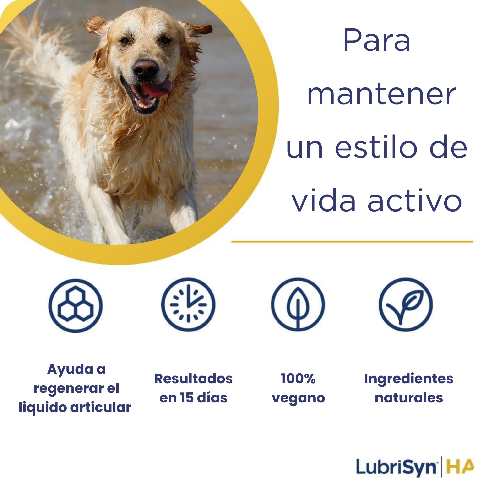 MSM 473ml – Suplemento Articular Líquido para Perros – Ácido Hialurónico Alta Absorción – Movilidad, Flexibilidad y Cuidado del Cartílago – También Apto para Gatos y Caballos | Ácido Hialurónico Alta Absorción, Movilidad y Flexibilidad, Cuidado del Cartíl